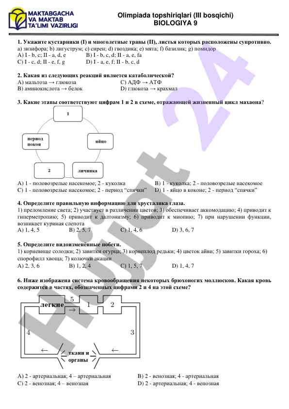 Olimpiada biologiya topshiriqlari iii bosqichi