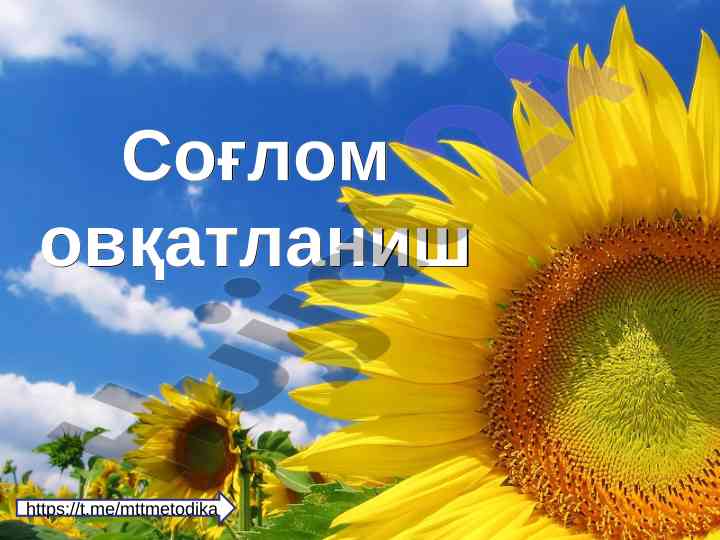 Соғлом овқатланишнинг асосий талаблари