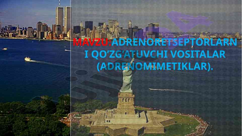 Adrenoretseptorlarni qo'zg'atuvchi vositalar tahlili