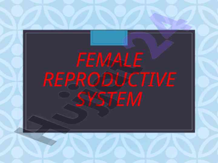 Female reproductive system overview