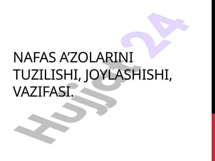 Nafas a'zolari tuzilishi va fiziologiyasi