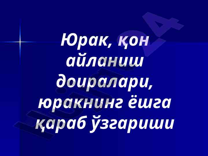 Yurak va qon aylanilishi doiralari tadqiqoti