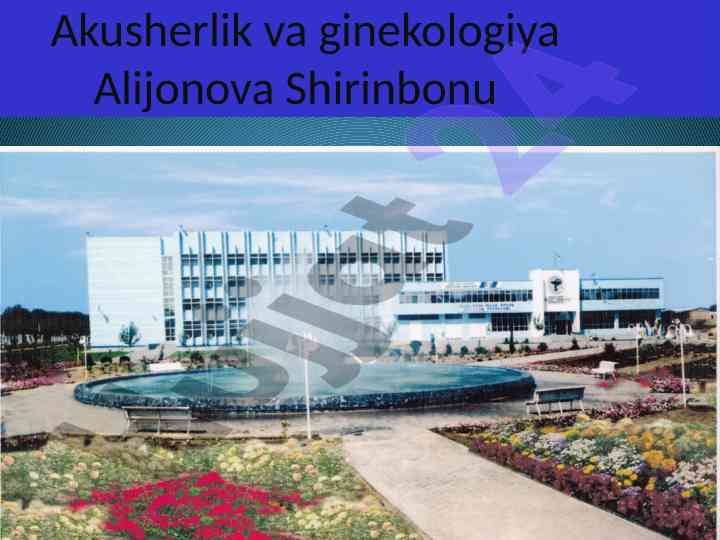 Excel elektron jadvali bilan ishlash qo‘llanmasi