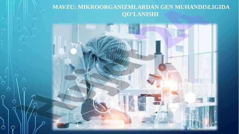 Mikroorganizmlardan gen muhandisligida qo‘lanishi