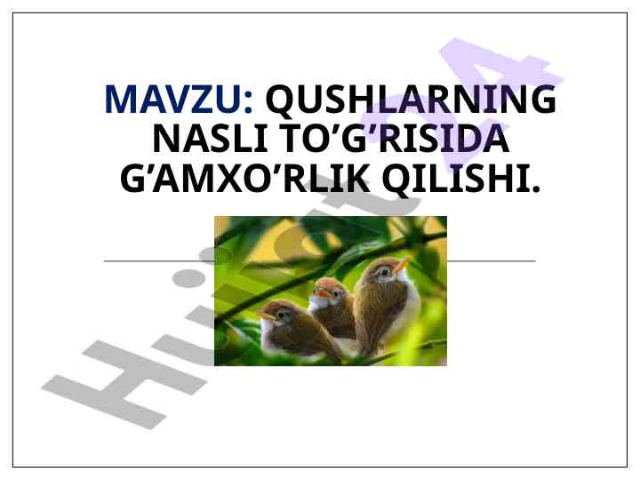 Qushlarning nasli to’g’risida g’amxo’rlik