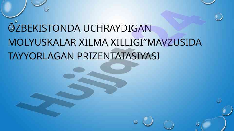 Qorinoyoqli molyuskalar turlari va xususiyatlari