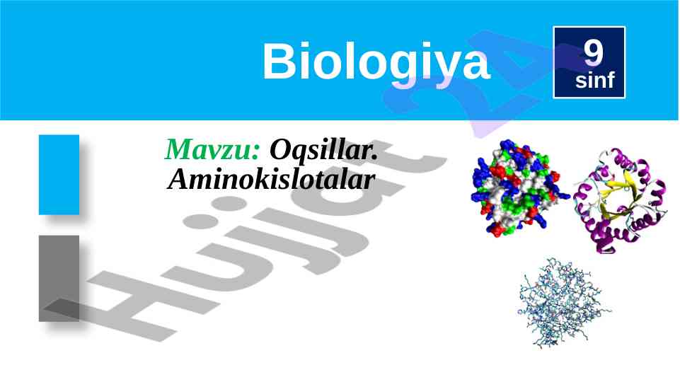 Biologiya 9 sinf oqsillar va aminokislotalar