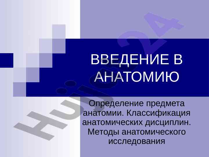 Введение в анатомию: основы и методы исследования
