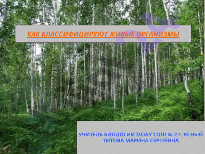 Классификация живых организмов в биологии