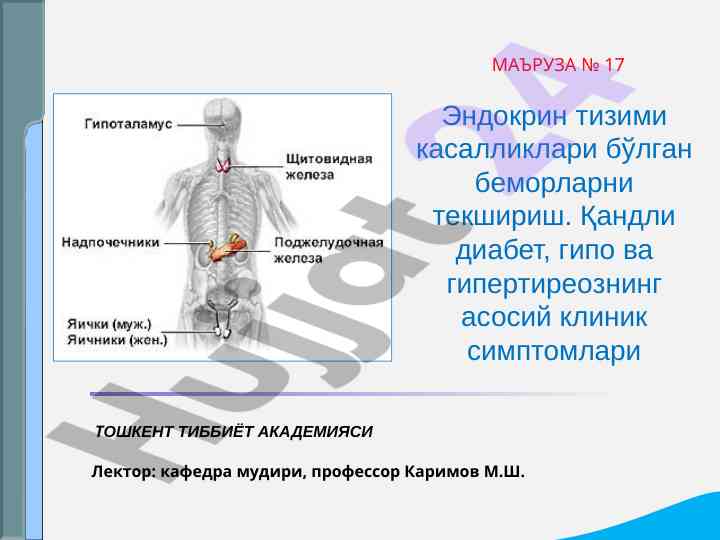 Эндокрин тизими касалликлари текшириши