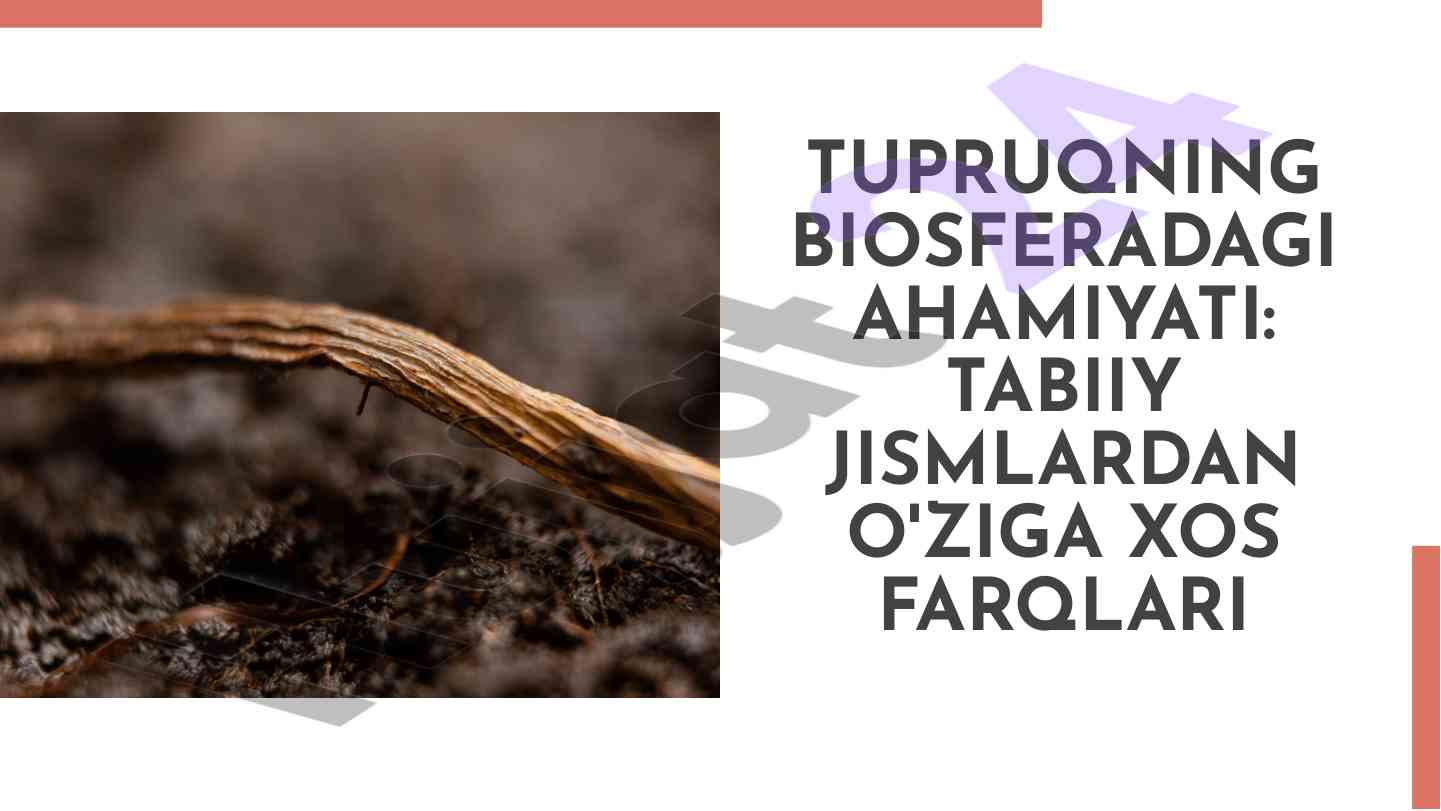 Tuproqning biosferadagi ahamiyati va farqlari