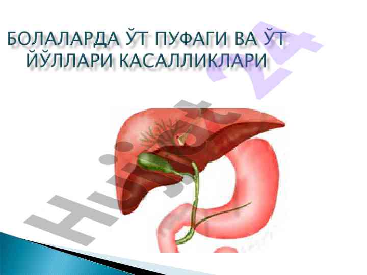 Холецистит ривожланишида аҳамиятли омиллар