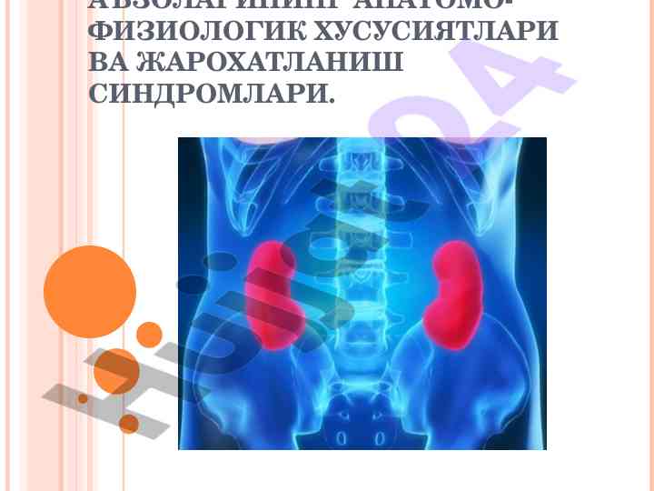 Bolalarda siydik a'zolarining anatomik xususiyatlari