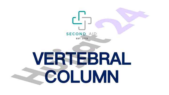 Vertebral column anatomy and clinical considerations
