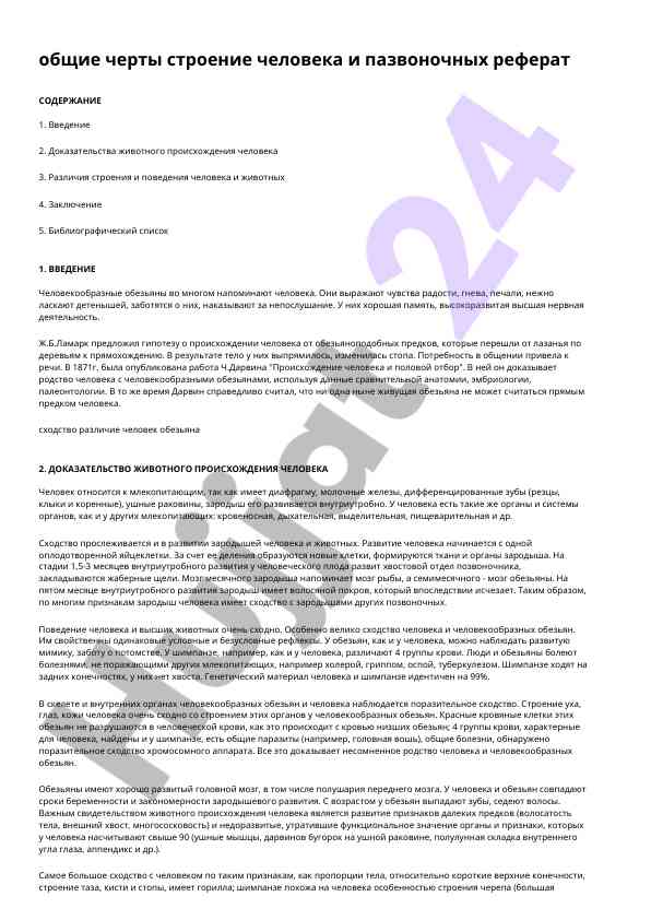 Общие черты строение человека и пазвоночных