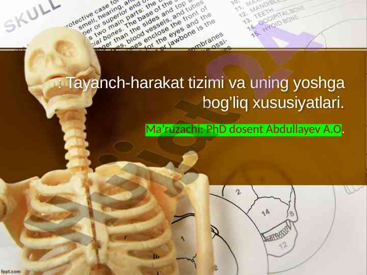 Tayanch-harakat tizimi va uning yoshga bog’liq xususiyatlari