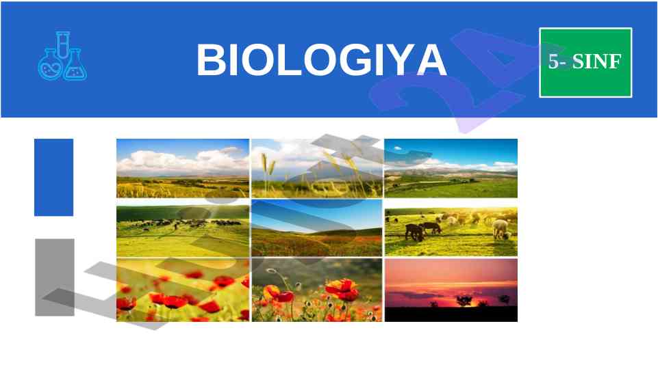 Biologiya 5-sinf tirik organizmlar xususiyatlari