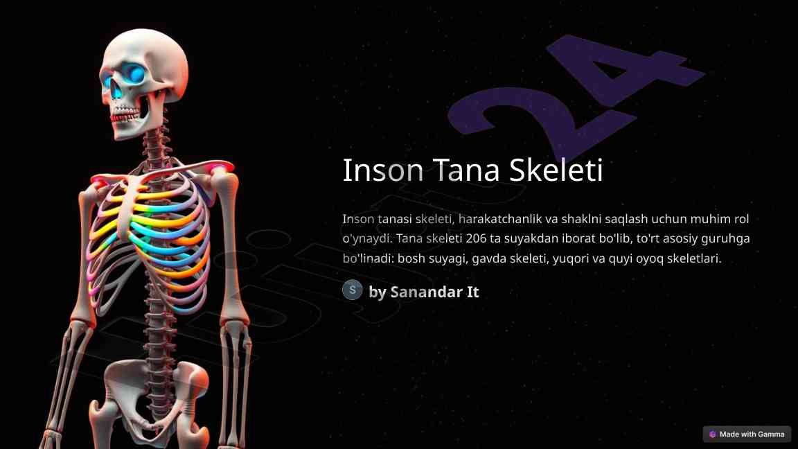 Inson tana skeleti tahlili va funktsiyalari