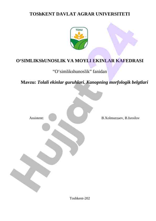 Tolali ekinlar guruhlari va kanopning morfologiyasi