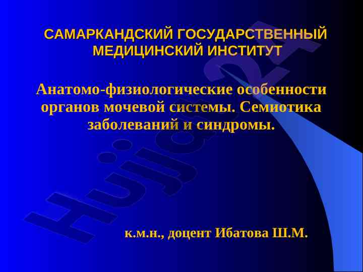 Анатомо-физиологические особенности мочевой системы