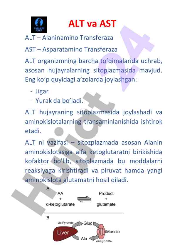 Alt va ast: tahlil va vazifalari