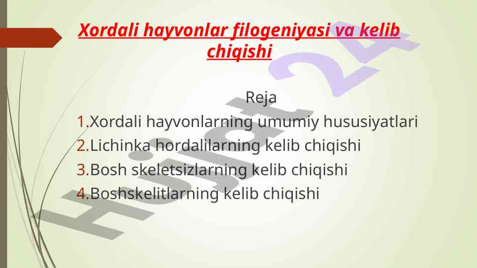 Xordali hayvonlar filogeniyasi va kelib chiqishi