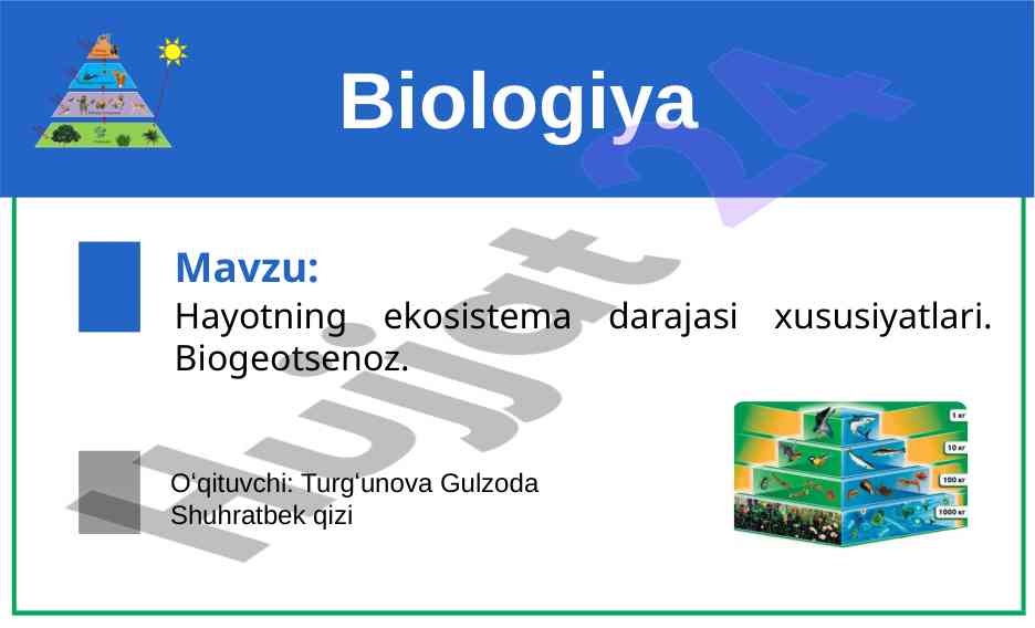 Hayotning ekosistema darajasi xususiyatlari