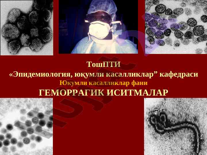 Gemorragik isitmalar va epidemiologik tahlil
