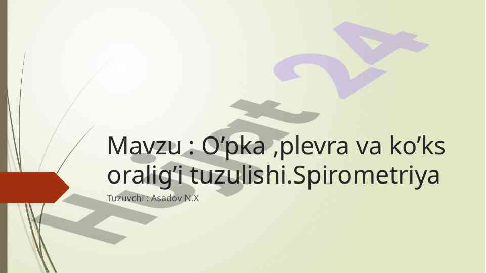O’pka tuzilishi va spirometriya tahlili