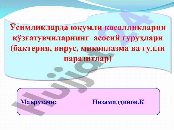 Ўсимликларда юқумли касалликларни қўзғатувчилар