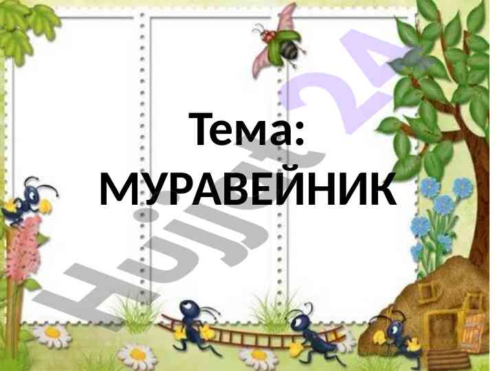 Муравейник проверка домашнего задания