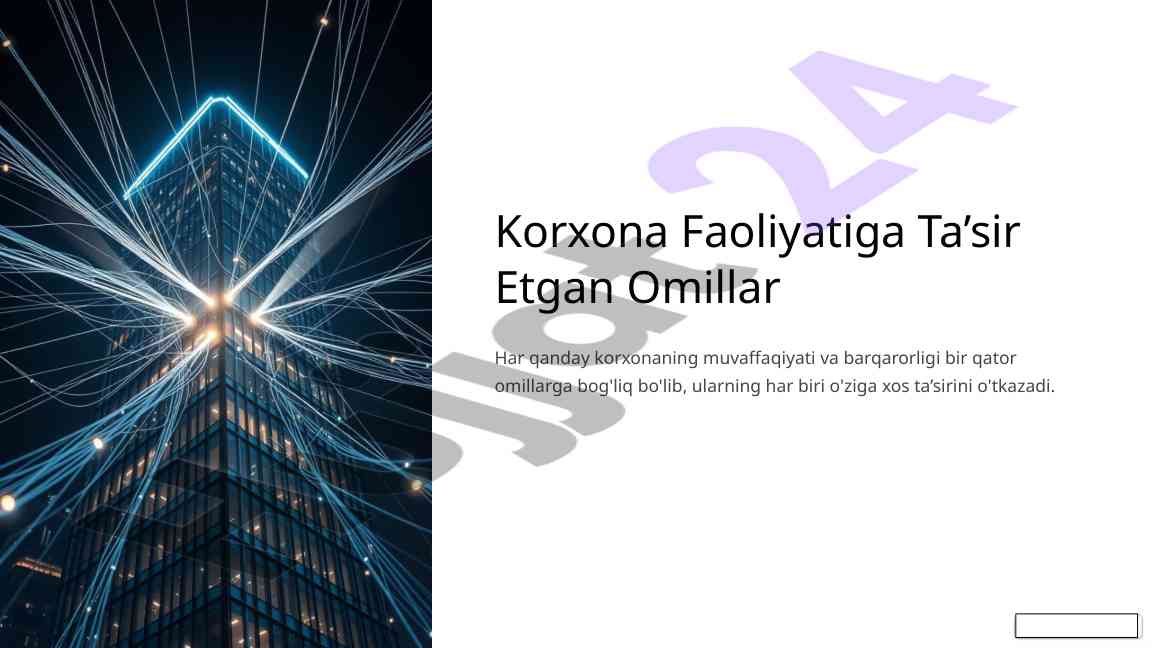 Korxona faoliyatiga ta’sir etuvchi tashqi omillar