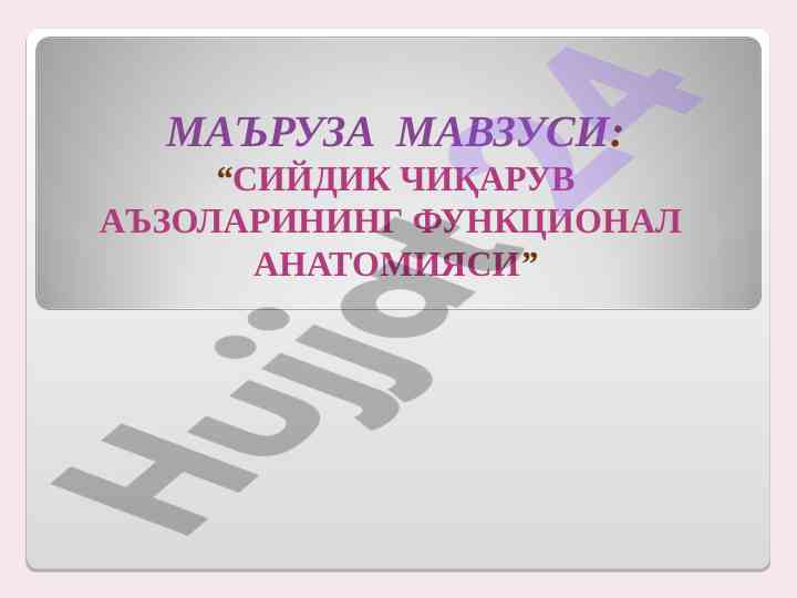 Сийдик чиқарув аъзоларининг функционал анатомияси