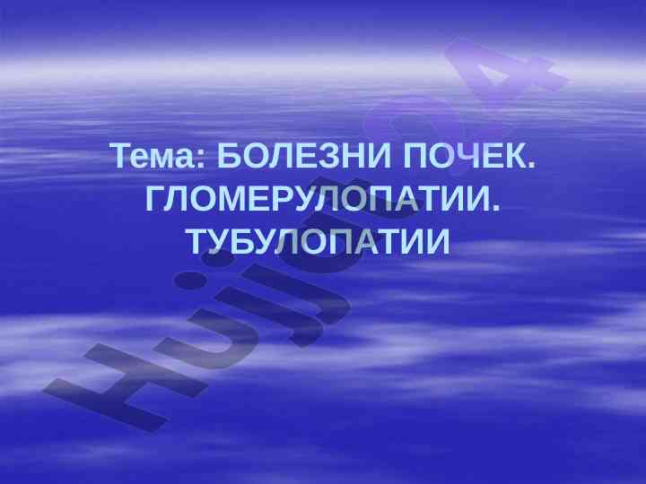Болезни почек и их патогенез