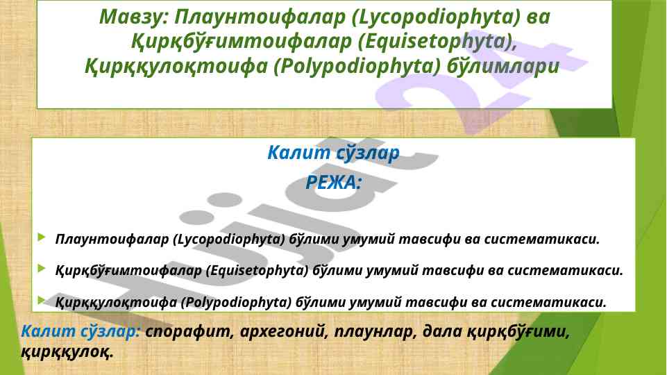 Плаунтоифалар ва қирқбўғимтоифалар тўғрисида