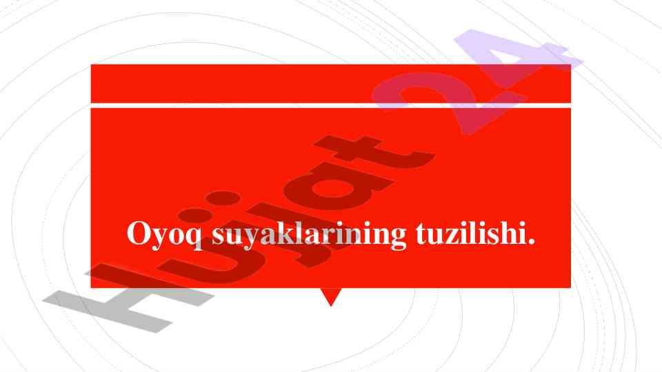 Oyoq suyaklarining tuzilishi va funktsiyalari