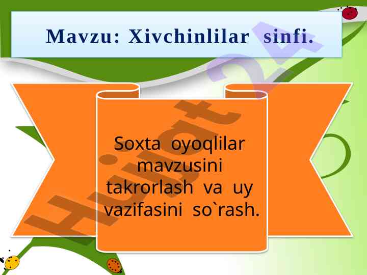 Xivchinlilar sinfi va soxta oyoqlilar mavzusi