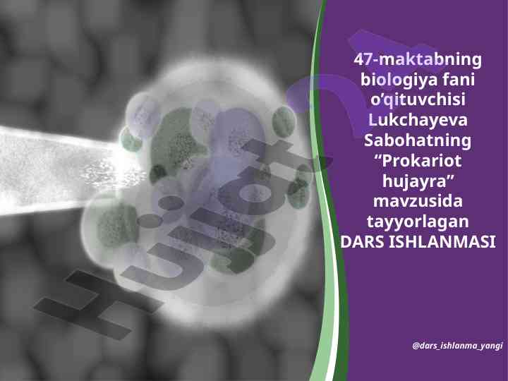 Prokariot hujayra mavzusida dars ishlanmasi