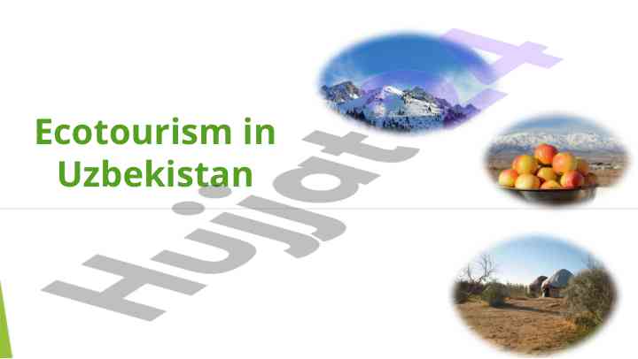 Ecotourism opportunities in uzbekistan's natural wonders