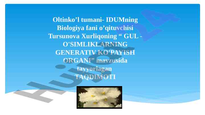 Gul o'simliklarning generativ ko'payish organlari