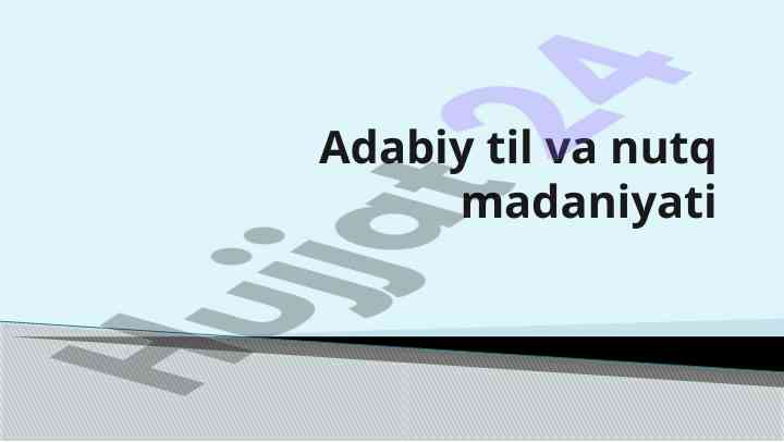 Adabiy til va nutq madaniyati va me'yorlar