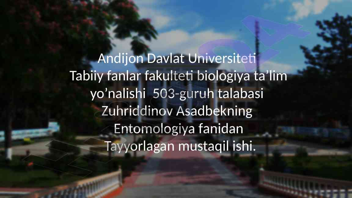 Tibbiyotda qoʻllaniladigan hasharotlar