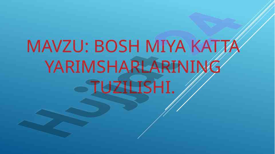 Bosh miya katta yarimsharlarining tuzilishi va funksiyalari
