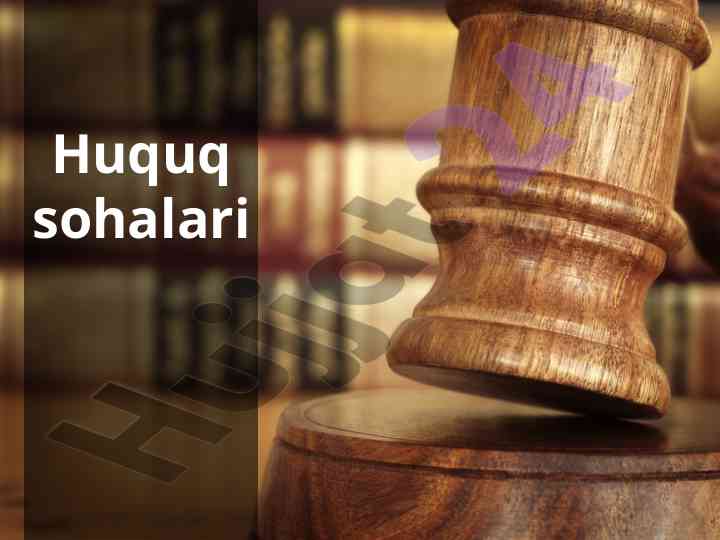 Huquq tizimining asosiy tamoyillari va tahlili