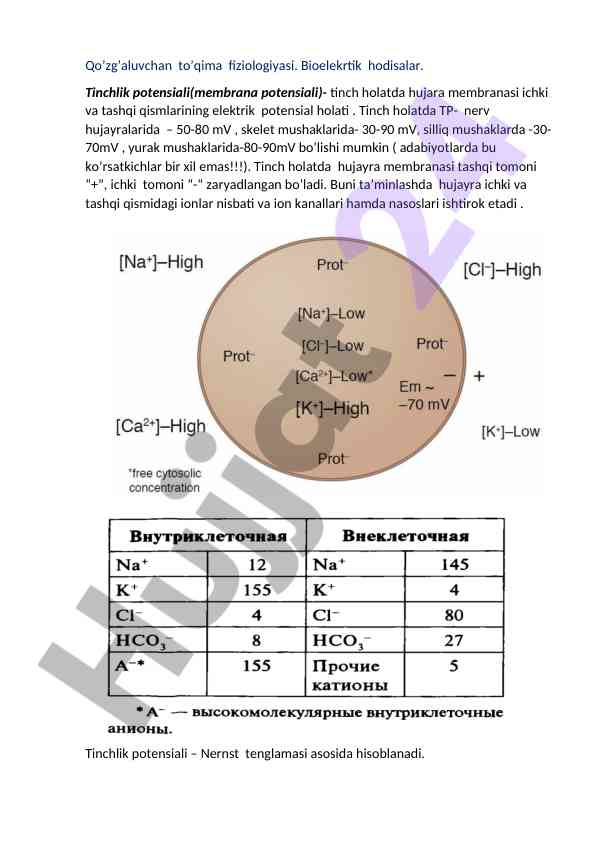 Tinchlik potensiali va membrana potensiali fiziologiyasi