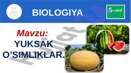 Yuksak o’simliklar mavzusi 5-sinf dars rejasi
