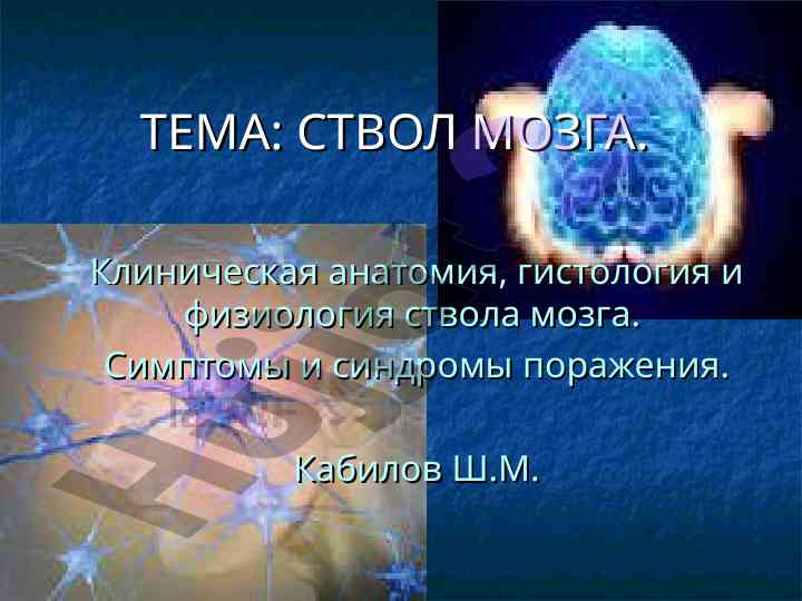 Klinik anatomiyasi va fiziologiyasi stvol mozga