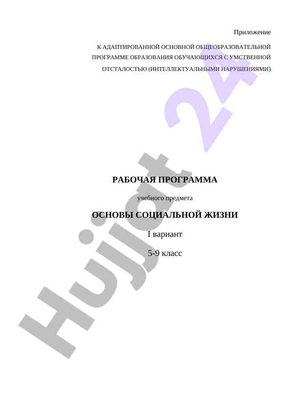 Рабочая программа основы социальной жизни