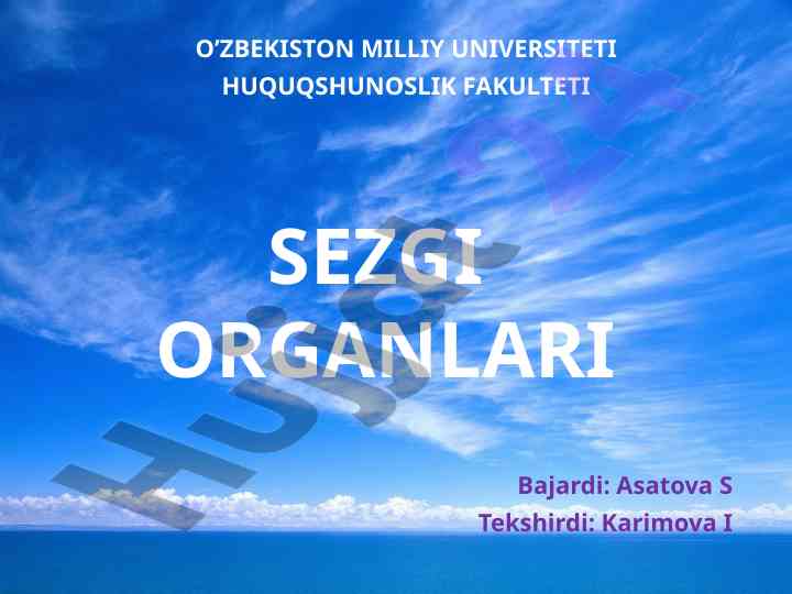 Sezgi organlari va ularning ahamiyati