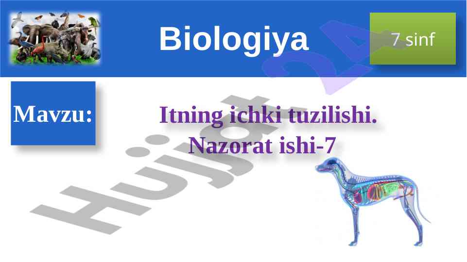 Itning ichki tuzilishi biologiya dars rejasi